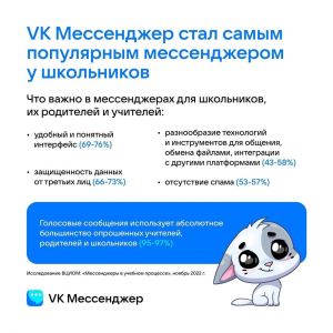 &laquo;VK Мессенджер&raquo; стал самым популярным у российских школьников
