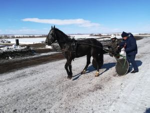 На Яринке прошли конноспортивные соревнования