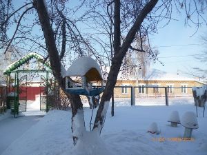 В Уйском районе школьники и детсадовцы накормят птиц