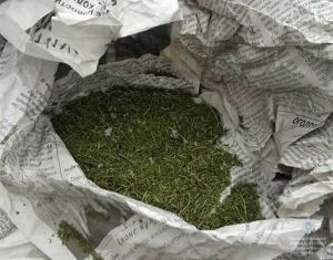 У жителя Аминево полицейские изъяли около двухсот граммов конопли