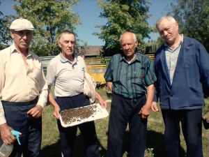 В Ларино из-за обработки полей гербицидами гибнут пчелы