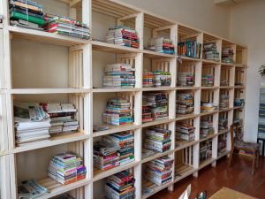 Книжные новинки поступили в 32 библиотеки Уйского района