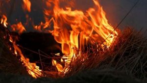 В Зерновом сгорело более четырех тонн сена