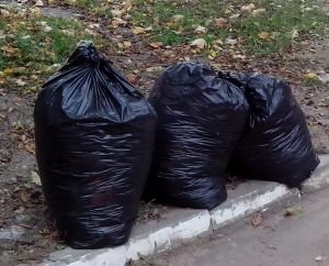 Из поселков Уйского района нерегулярно вывозят мусор