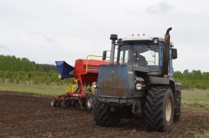 Аграриям Челябинской области, пострадавшим от засухи, выделят субсидии