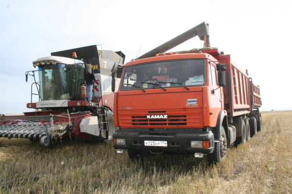В Уйском районе убрано 6 % урожая