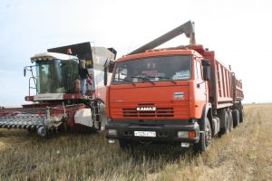 В Уйском районе убрано 6 % урожая