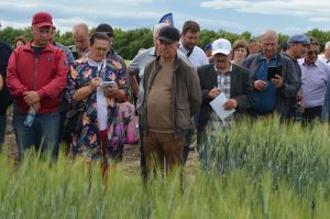 Аграрии Уйского района побывали на областном агросовещании в Троицком районе