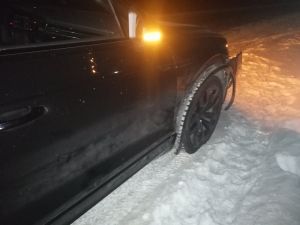 Косуля и две лошади попали под колеса в Уйском районе