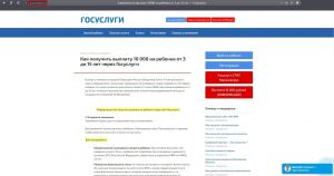 Мошенники создали фальшивый сайт Госуслуг