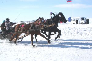 Зрелищные конные соревнования состоялись на Яринском ипподроме