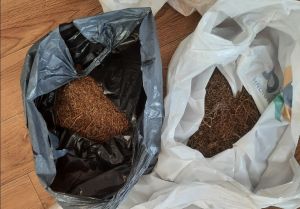 У безработного уйчанина изъяли наркотические средства