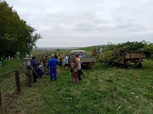 Жители Глазуновки провели субботник