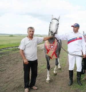 Сегодня в Челябинской области подвели итоги конкурса «Начинающий фермер»