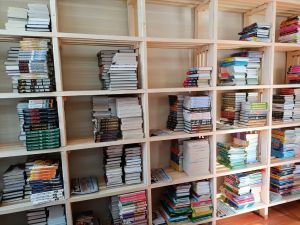В Уйскую центральную библиотеку поступили новые книги