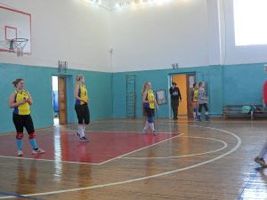 В Уйском женщины состязались в турнире по волейболу