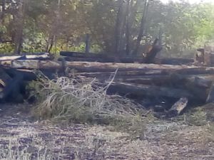 В Березовке сгорел нежилой деревянный дом