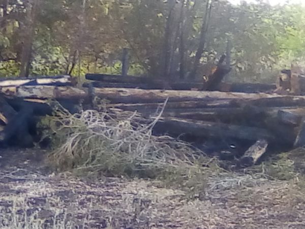 В Березовке сгорел нежилой деревянный дом