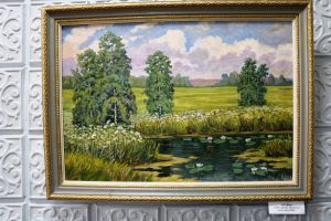 В Уйском краеведческом музее открылась выставка картин Александра Демина