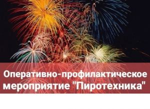 Полицейские Уйского района выявили нарушение продажи пиротехники подростку