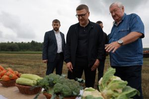 Губернатор Алексей Текслер поручил разработать комплексную систему развития овощеводства