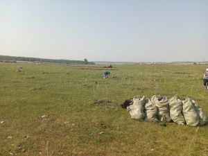 В Белово проходит акция &laquo;Чистая поляна&raquo;