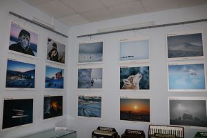 В Уйском краеведческом музее открылась выставка«Царство холода»