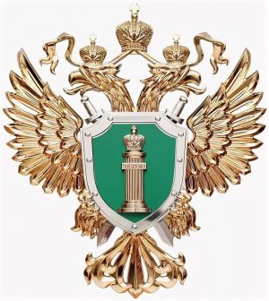 В Уйском районе выросло количество зарегистрированных преступлений за 2020 год