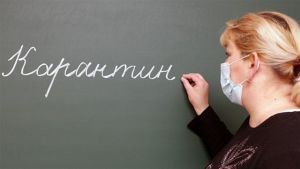 В Уйском районе несколько школ закрыли на карантин