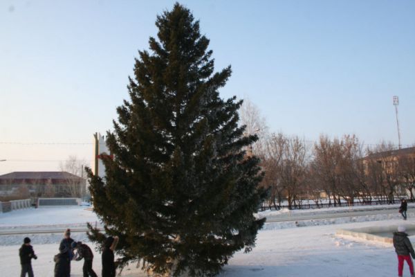 На главной площади Уйского района установили елку  и залили катушку