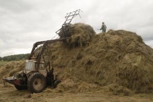 В Уйском районе заготовка сена отстает от плана